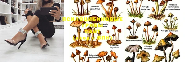 трава Зеленодольск