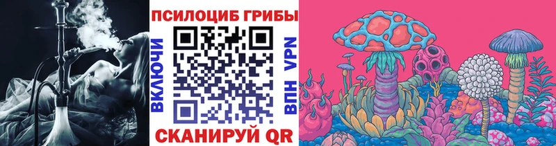 Купить закладки  Вышний Волочёк  Псилоцибиновые грибы мухоморы 