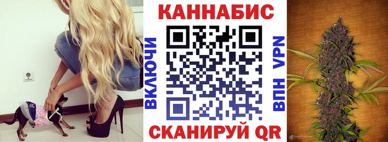 Купить  Вышний Волочёк  Канабис THC 21% 